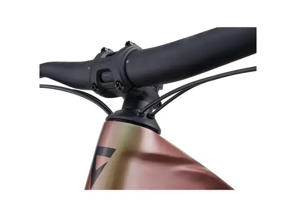 Giant Trance X Advanced E+ EL 3 mountain e-bike messier/panther