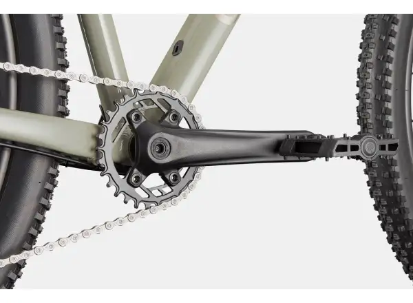 Cannondale Trail 1 29" mountain bike Tiger Shark