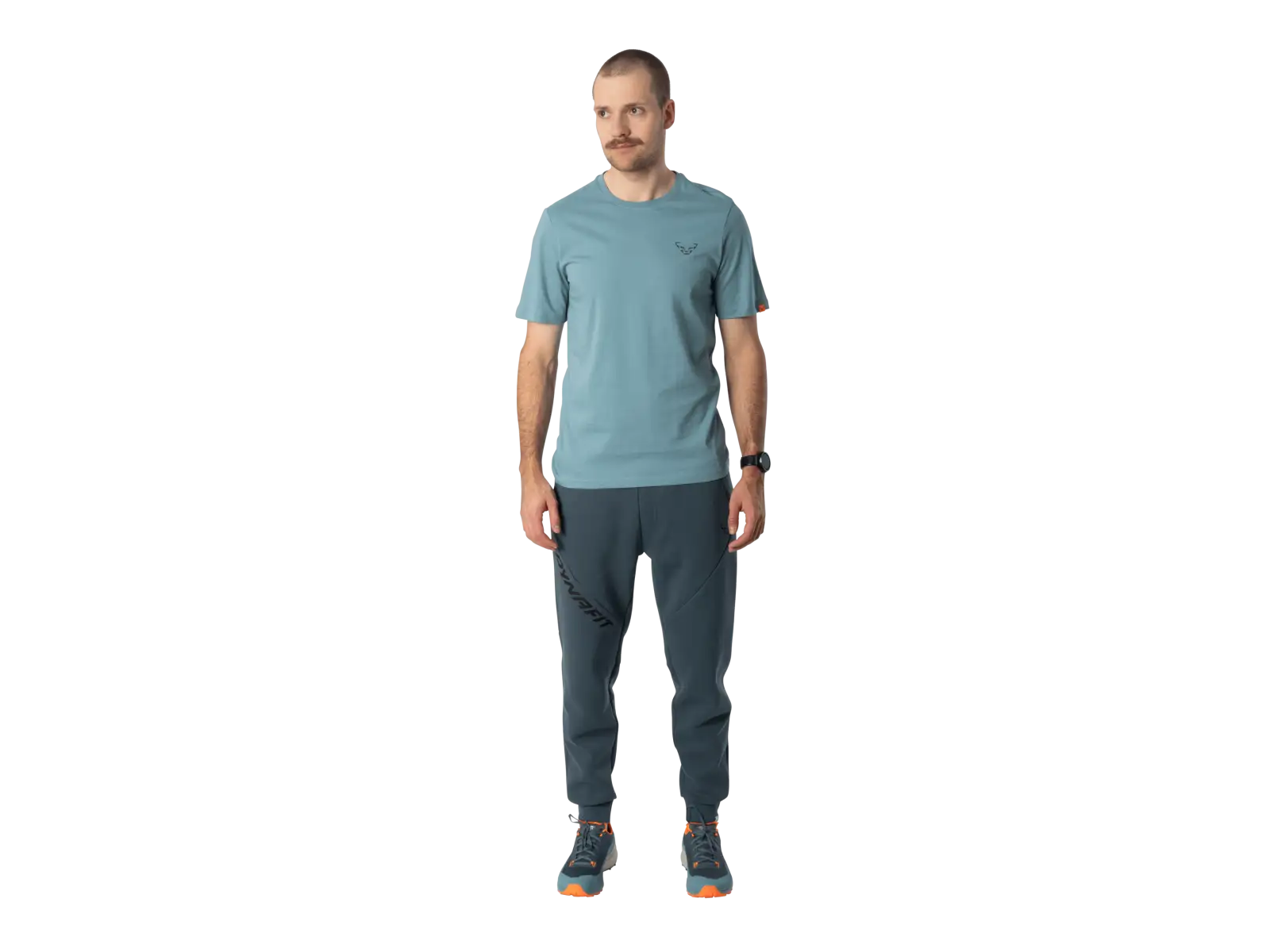Dynafit Back Graphic Cotton men's T-shirt short sleeve Smoke Blue/Approach