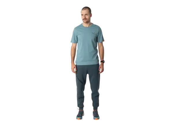 Dynafit Back Graphic Cotton men's T-shirt short sleeve Smoke Blue/Approach