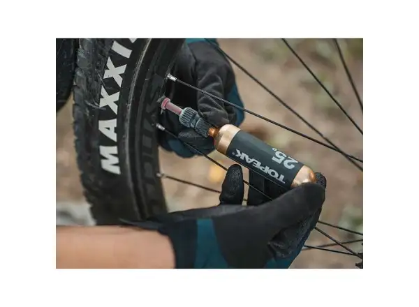 Topeak Nano AirBooster pump black