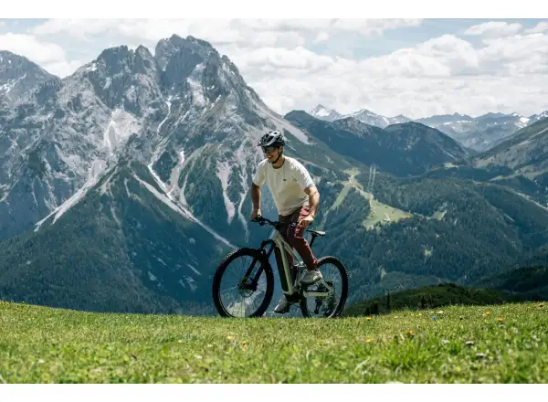 Raymon Durok Pro 29" 11s XT full-suspension e-bike Toffeebrown