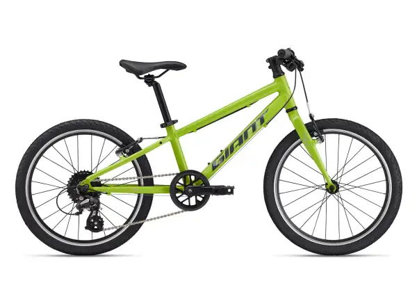 Giant ARX 20 children's bike Lime Punch