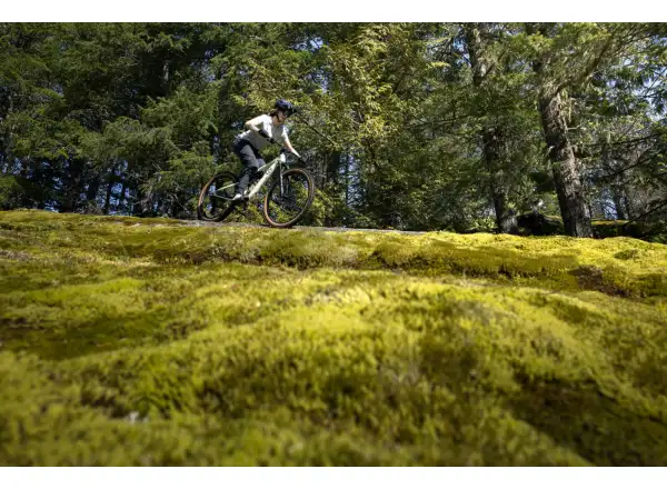 Liv Embolden 2026 mountain bike Pale Moss