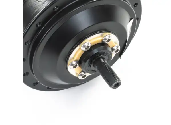 Apache motor Basic 28"/29" rear 36V/250W 3-pin Bafang SWXH6 disc cassette black