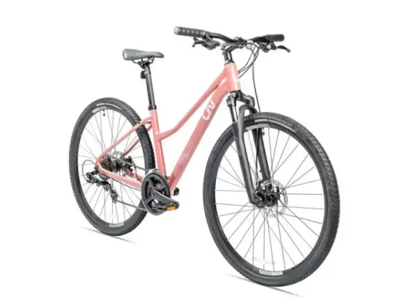 Liv Rove 4 DD trekking bike terra rose