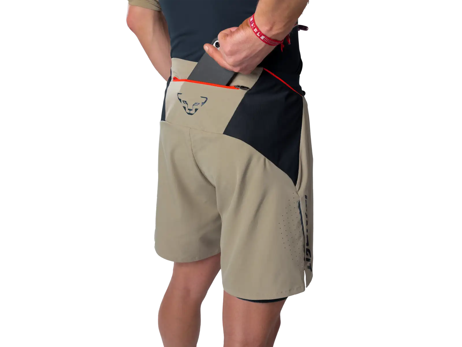 Dynafit Alpine Pro 2in1 men's running shorts Atlantic