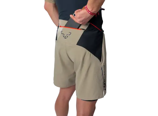 Dynafit Alpine Pro 2in1 men's running shorts Atlantic