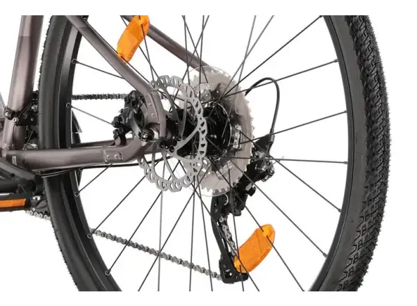 Liv Rove 1 DD women's trekking bike Dark Eclipse