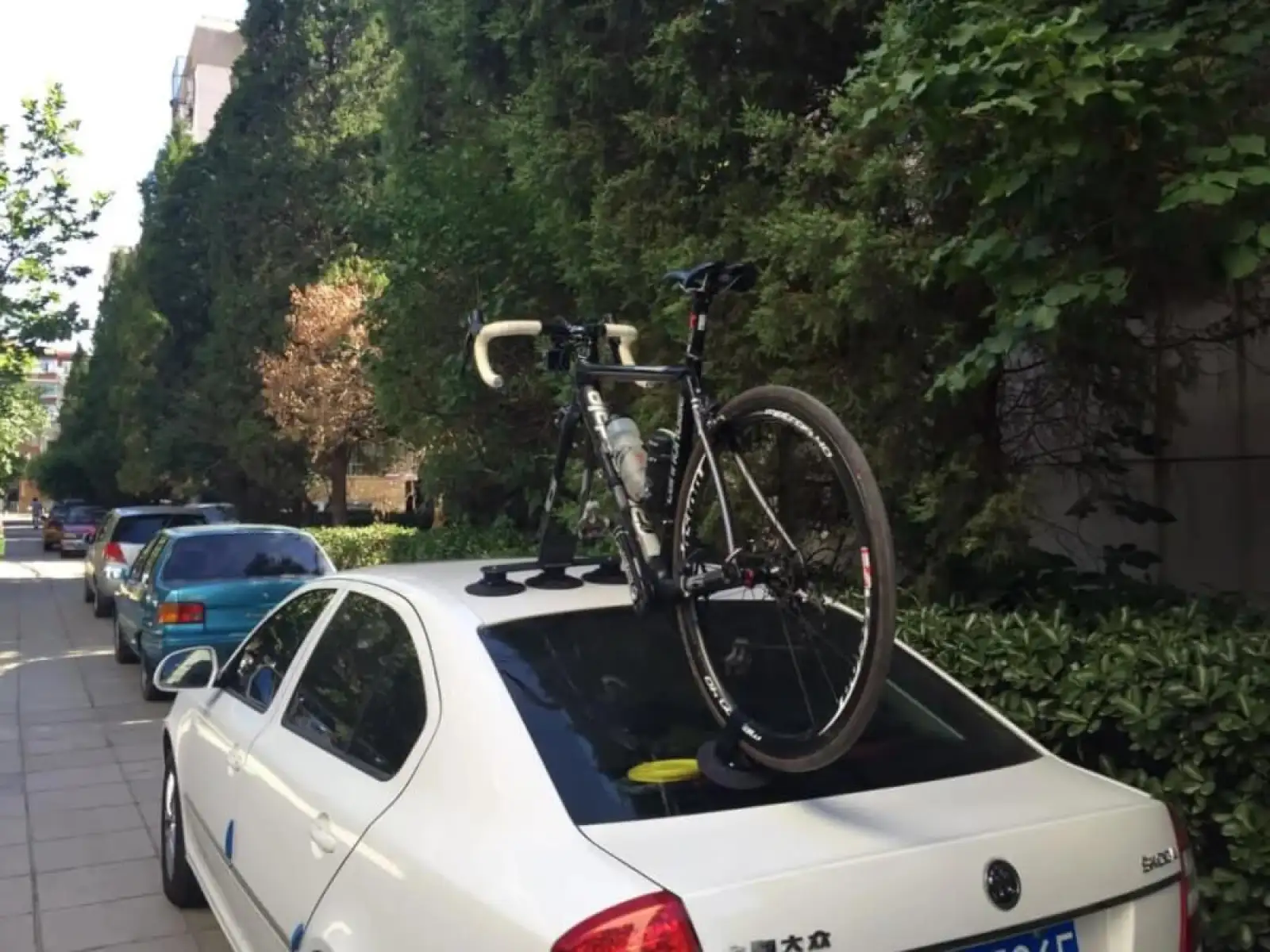 TreeFrog Elite 1 roof rack for front fork