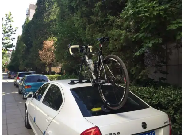 TreeFrog Elite 1 roof rack for front fork