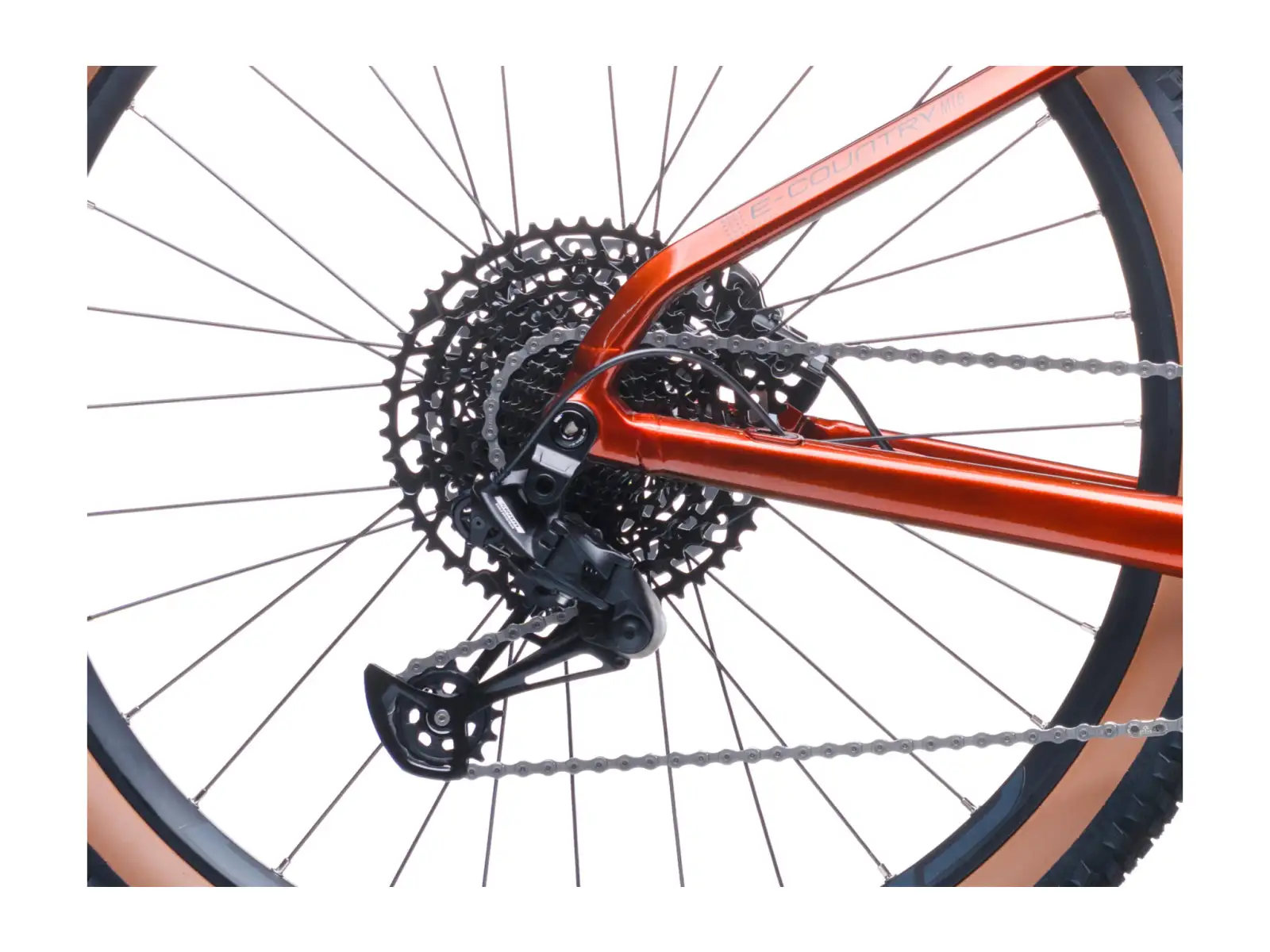 Crussis e-Country AX MTB 8.12-M2(800) mountain e-bike