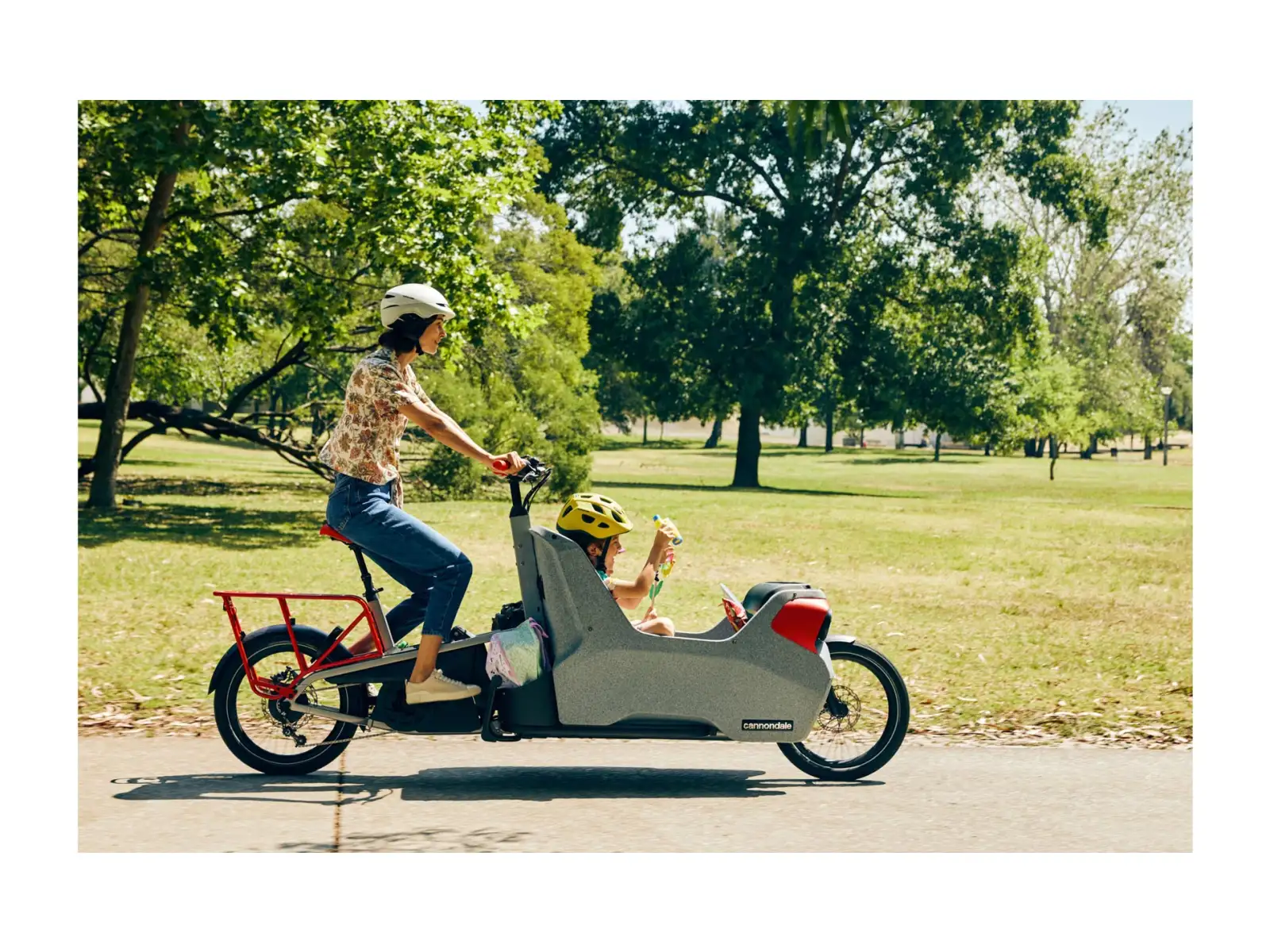 Cannondale Wonderwagen NEO 2 city e-bike GRY