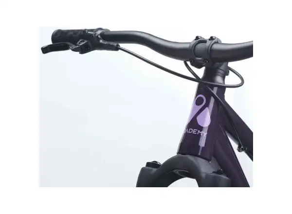 Academy S-Grade Pump 6 children's bike 26" purple