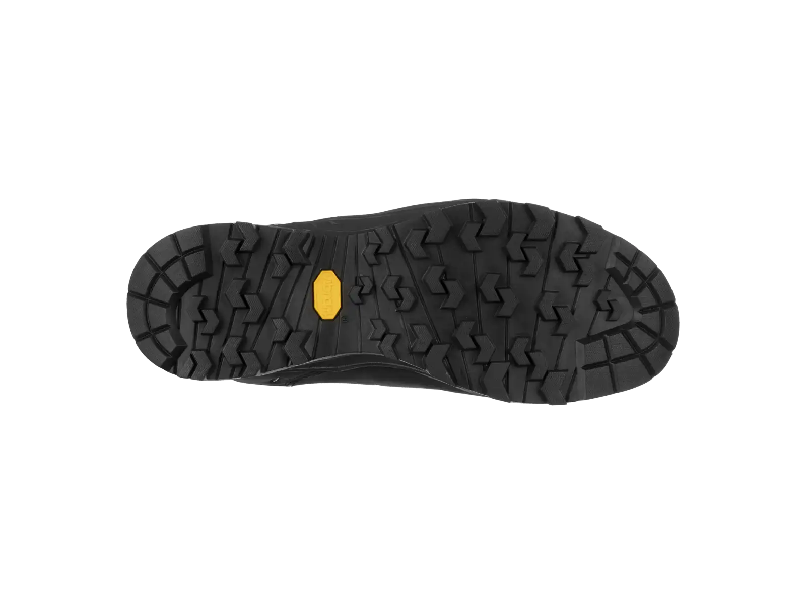 Salewa Alp Trainer 2 men's shoes Bungee Cord / Black