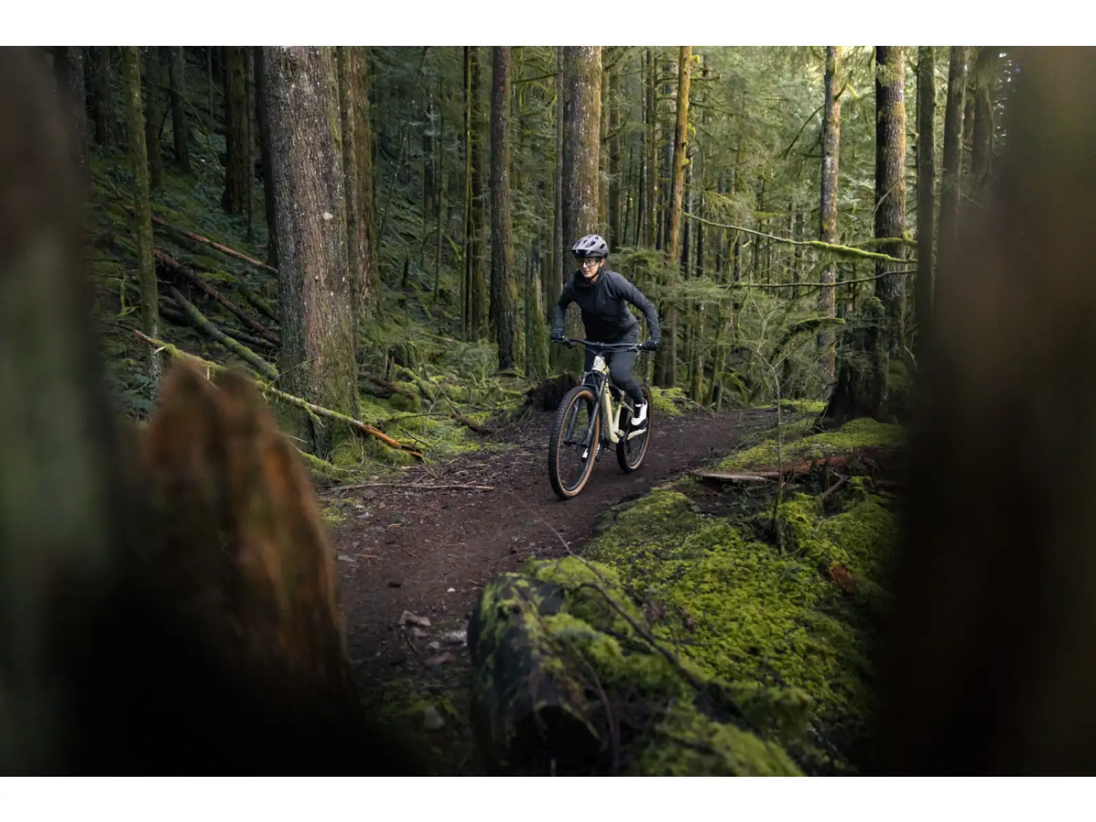 Liv Embolden 2026 mountain bike Pale Moss