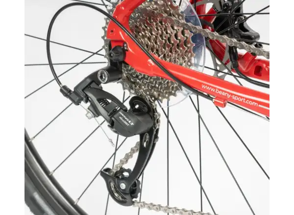 Beany Zero 29 kids bicycle Red