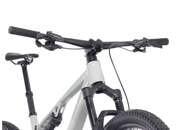 Superior XF 6.6 DC mountain bike Matte Green Grey