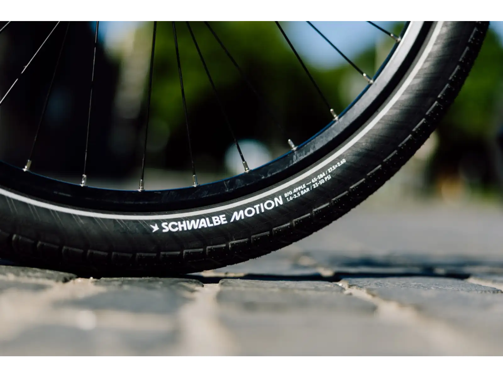 Schwalbe Motion Big Apple E-25 RaceGuard 26x2,00" wired tire black-reflex