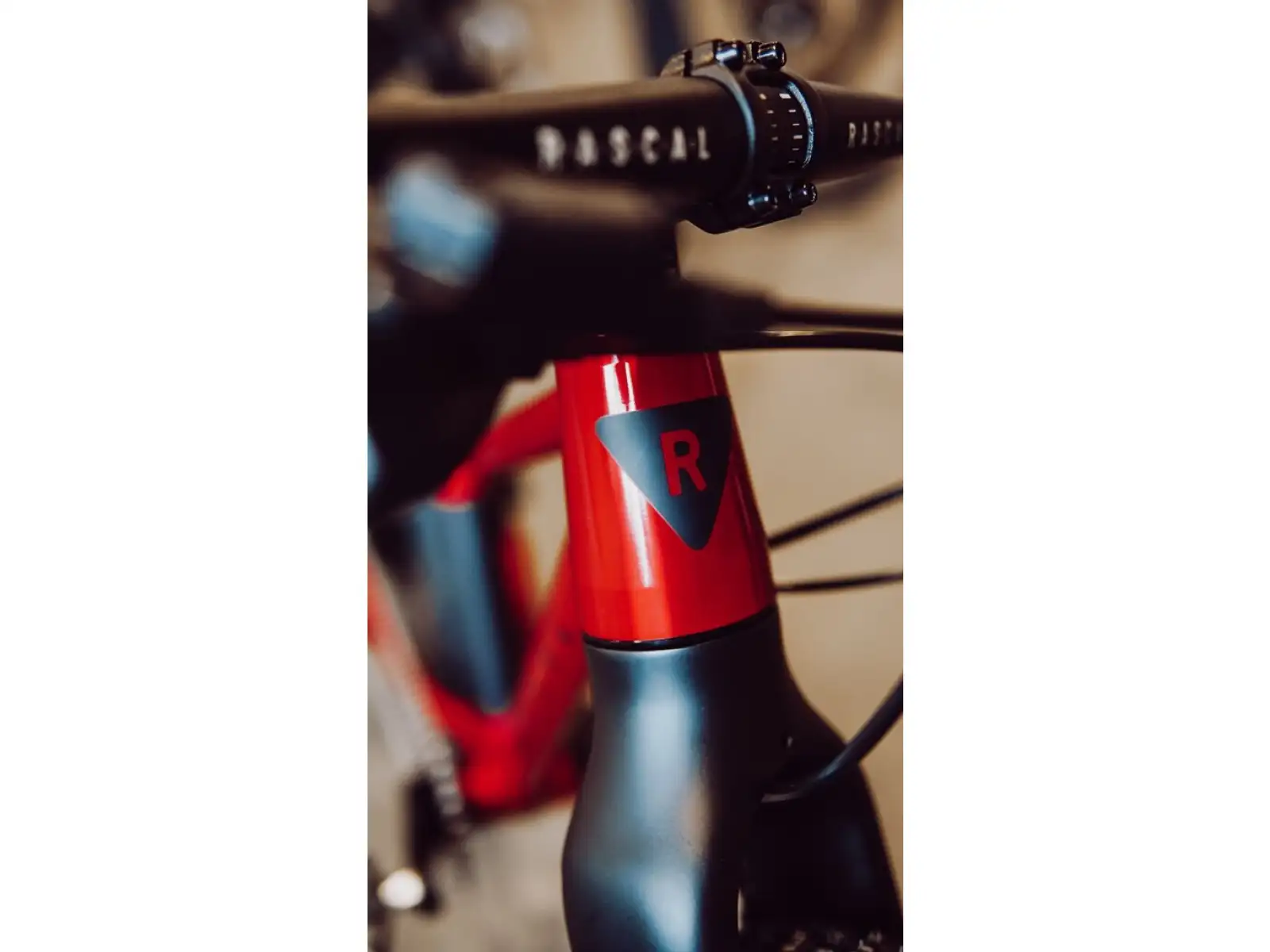 Rascal Wild 20 children's bike Ruby Red
