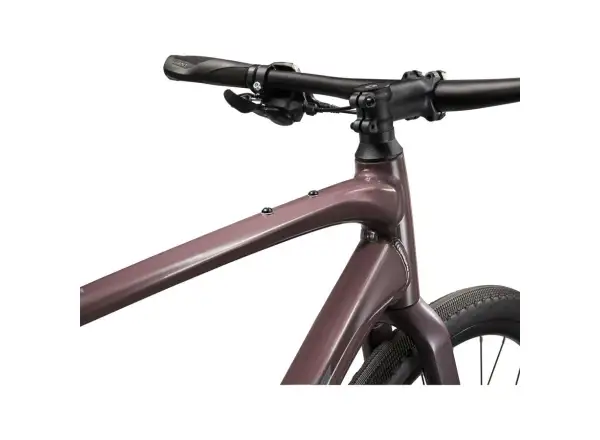 Giant FastRoad AR 3 trekking bike Charcoal Plum
