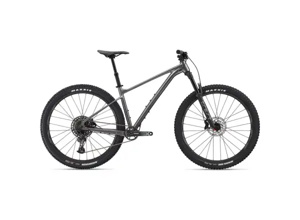Giant Fathom 29 1 mountain bike Metallic Black