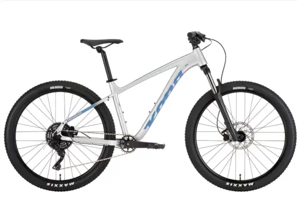 Kona 36e Fire Mountain mountain bike Silver