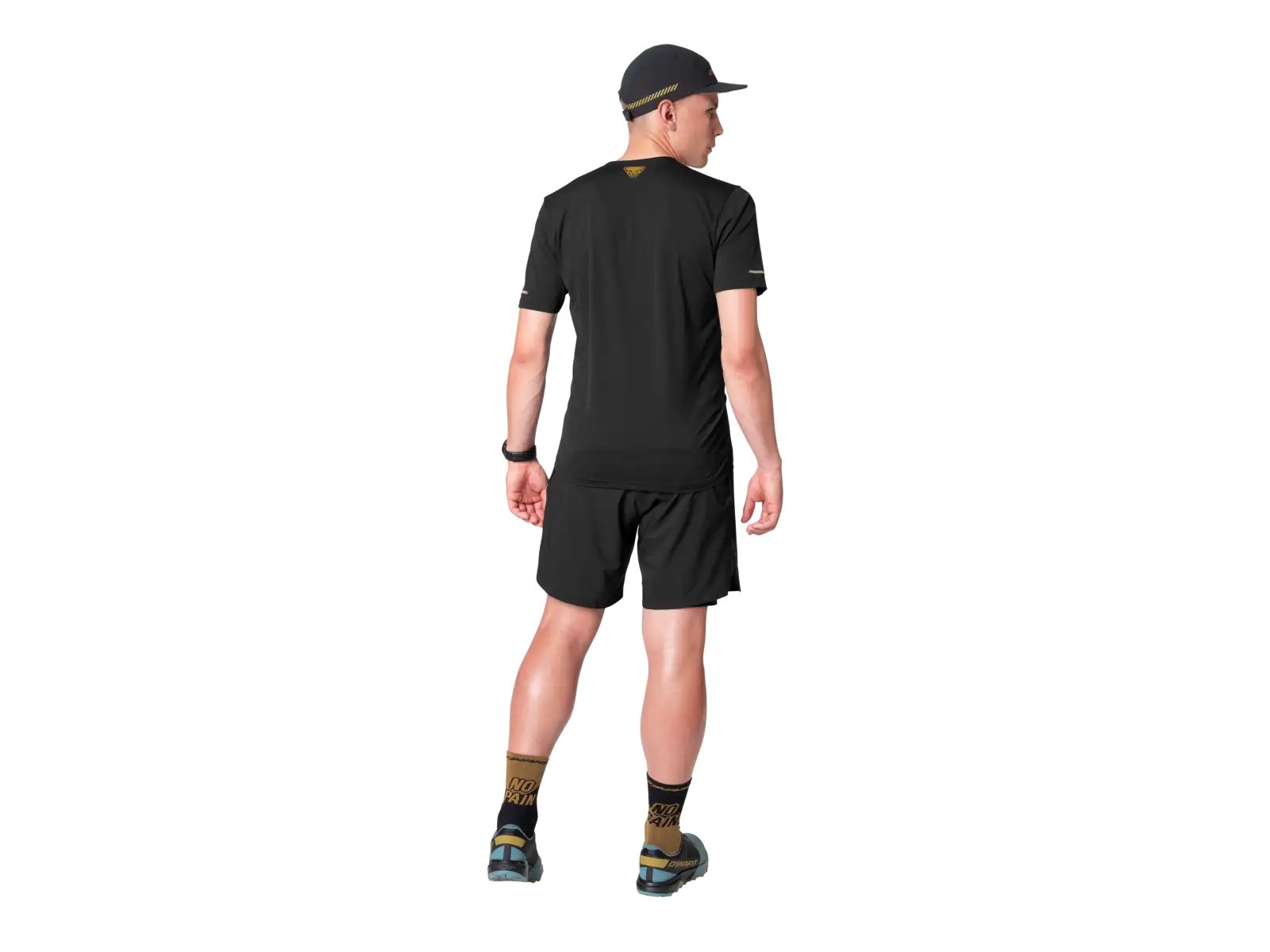 Dynafit Alpine 2 men's T-shirt short sleeve Tobacco