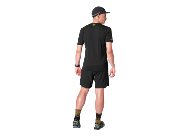Dynafit Alpine 2 men's T-shirt short sleeve Tobacco