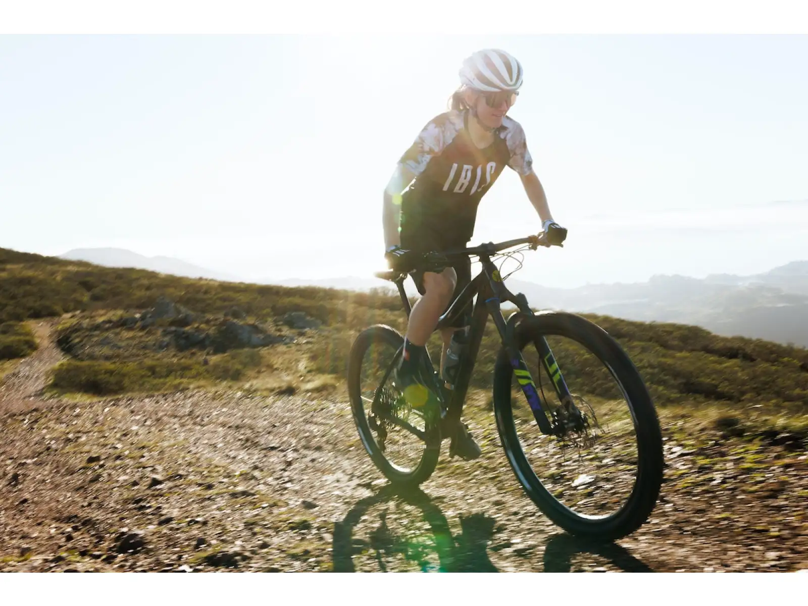 IBIS DV9 frame set Muddy Waters