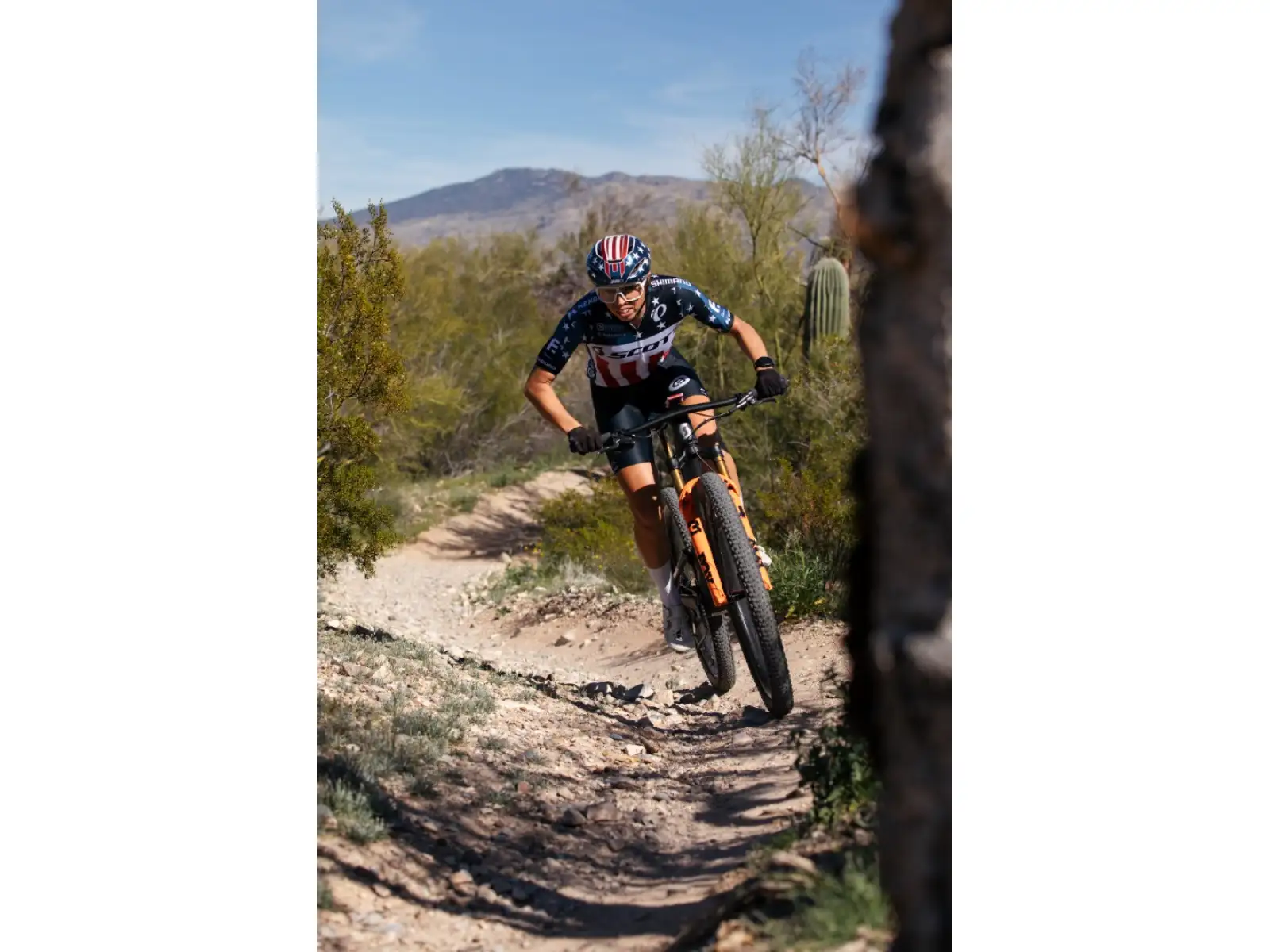 Kenda K-Series Dagger XC, TR 29x2,40" MTB tire kevlar brown
