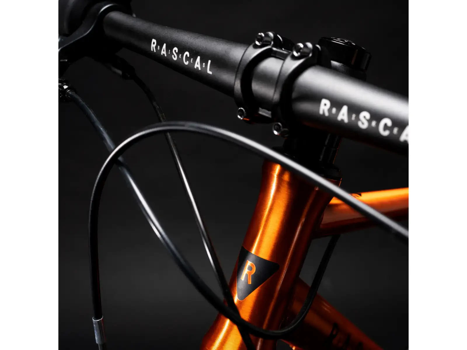 Rascal 26 3 sp. Shimano Nexus children's bike Flame