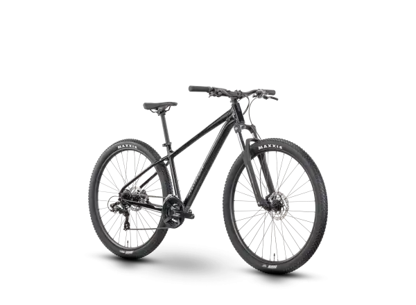 Raymon Nayta 29" mountain bike Black/Iredesciant Black