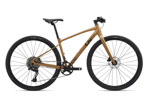 Liv Thrive 1 fitness bike Steampunk