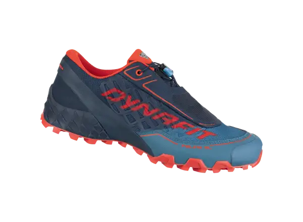 Dynafit Feline SL men's running shoes Mallard Blue/Blueberry