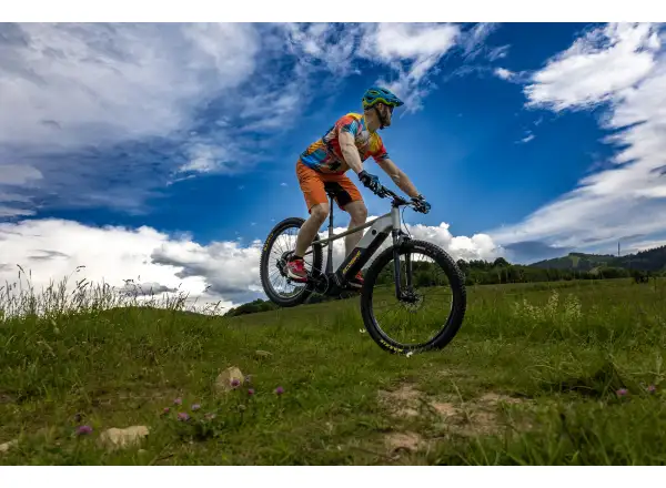 Ecobike Mauler 1080 Wh mountain e-bike