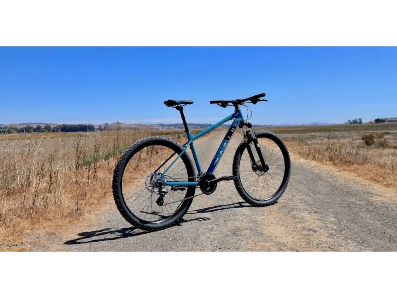 Marin Bolinas Ridge 2 29" mountain bike blue/black/green/grey