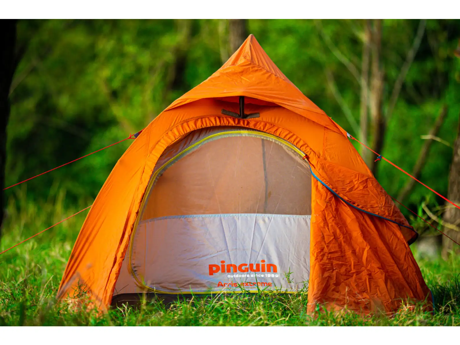 Pinguin Arris Extreme DAC Tent 2 persons orange