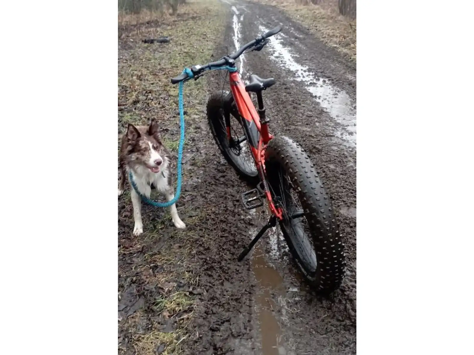 Rock Machine Avalanche INT e70-26 fatbike electric bike Gloss Metallic Orange/Silver