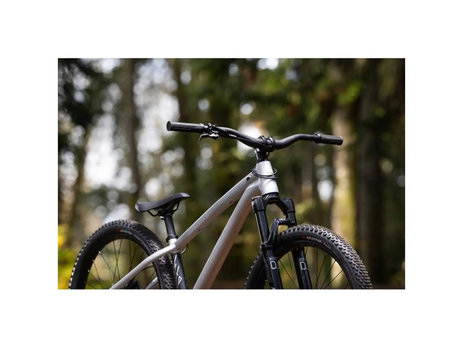 Giant STP 26 dirt bike Brush Aluminum