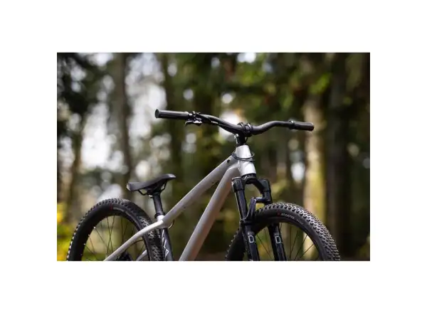Giant STP 26 dirt bike Brush Aluminum