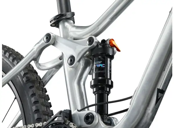 Giant Faith 24 children's full suspension bike Raw Aluminium