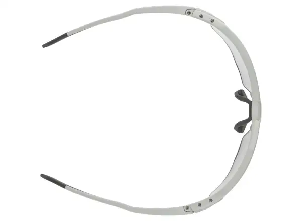 Alpina Twist Six S HR V glasses Smoke Grey Matt