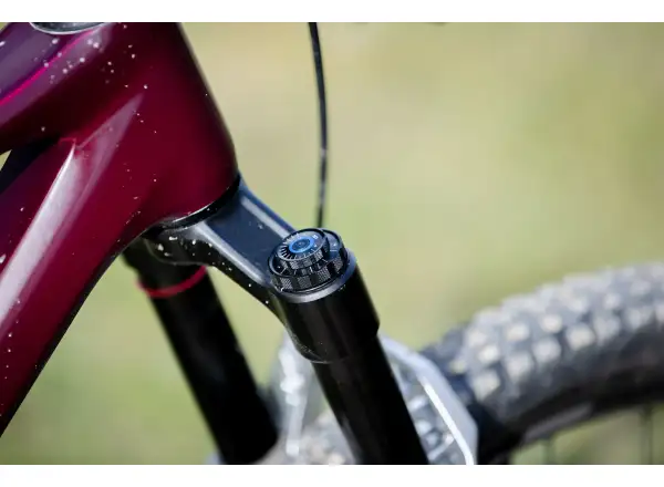 Superior XF 9.7 DC mountain bike Matte Berry Carbon