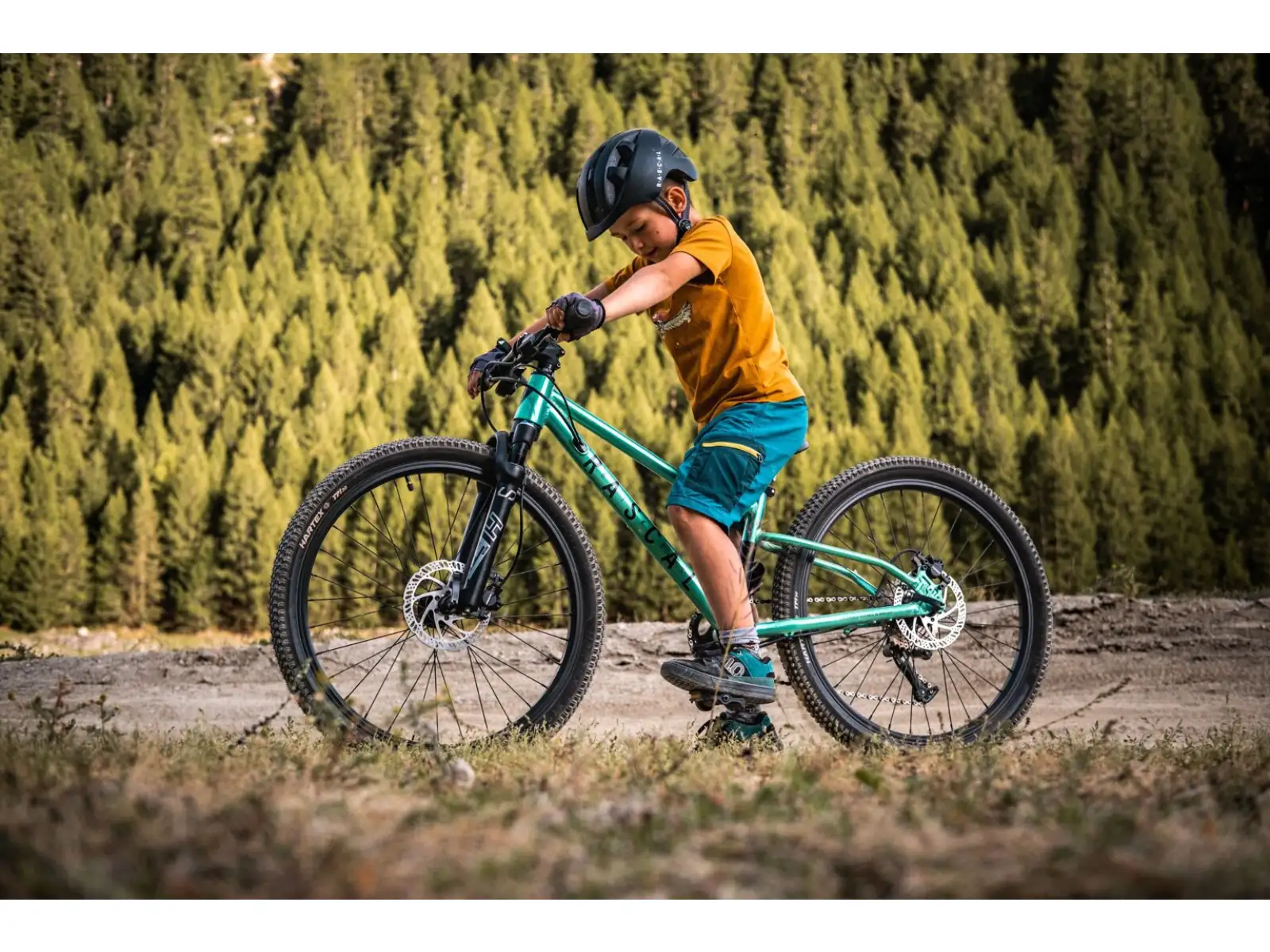 Rascal Wild 24 children's bike Emerald