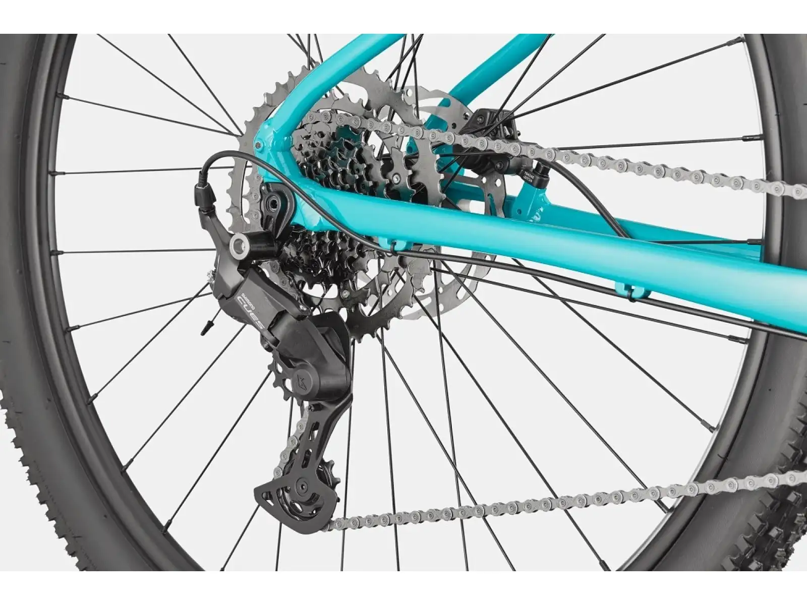 Cannondale Trail 2 29" mountain bike Ion Blue