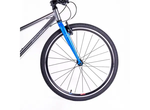 Beany Zero 26 children's bike Silver