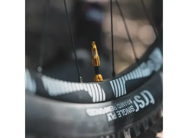 Lezyne CNC TLR valve cap silver