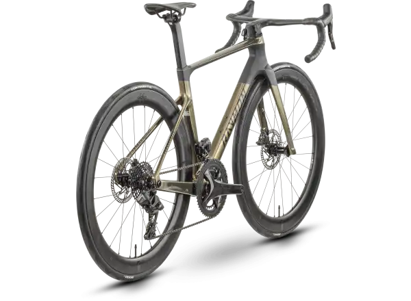 Raymon Arva Elite 26s Record road bike carbon/champagne