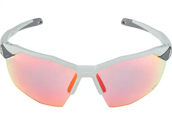 Alpina Twist Six HR QV glasses Smoke Grey Matt